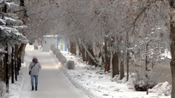 Erzurum'da Sibirya Soğukları... Her Şey Dondu!