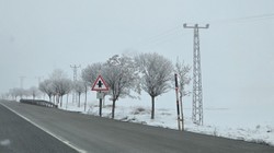 Bitlis'te Ağaçlar Buz Kristalleriyle Kaplandı