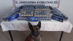  Ağrı'da Kaçak Sigara Operasyonu, Binlerce Paket Ele Geçirildi  