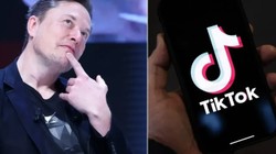 Bir Tek O Kalmıştı... Elon Musk, TikTok'u da mı Satın Alıyor?