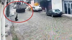 Her Şey Bir Anda Oldu, Yolda Yürürken Ölümden Döndü