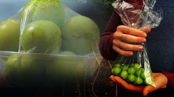 Çeyrek Altın Değil, Yeşil Erik! Kilosu 5 Bin Lirayı Buldu, Tanesi 100 TL