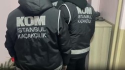 İstanbul’da FETÖ Operasyonu, 17 Doktor Gözaltında
