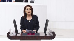 CHP’li Gülcan Kış’tan Meclis’e 'Çukurova' Teklifi: Afet Bölgesi İlan Edilsin