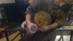 Yangında Mahsur Kalan Köpeği İtfaiye Ekipleri Kurtardı