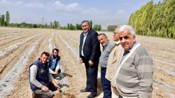 CHP'den 'Tarım Destek Ödemeleri Hemen Yapılsın' Çağrısı