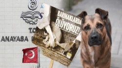 Yaşatacağız Platformundan 'Kanlı Yasa'ya Tepki