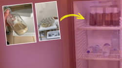 Sağlıkta Kan Donduran Bir Skandal Daha, Bodrum Kattaki Ölüm Tuzağı İfşa Oldu