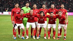 A Milli Takım ABD ile Hazırlık Maçı Yapacak