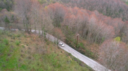 Sıcaklığın 24 Dereceye Yükseldiği Kentte Çiçek Açtı