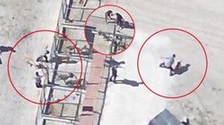 Hayvan Barınağında Yine İşkence! Vahşetin Adresi Bu Kez Konya: Görüntüler Vicdanları Yaraladı