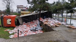 Ordu'da Besi Yemi Yüklü Tır Devrildi: 1 Kişi Yaralandı