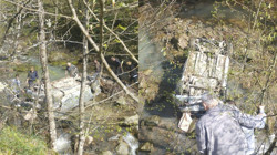 Düzce'de Feci Kaza! Metrelerce Yükseklikten Yuvarlandılar: 2'si Çocuk 6 Yaralı