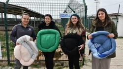 Lüleburgaz Belediyesi’nden Sokak Hayvanları İçin Kalp Isıtan Proje, Eski Kumaşlar Yatak Oldu