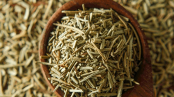 İsviçre'nin Türkiye'den Aldığı Kurutulmuş Biberiyede Ölümcül Bakteri