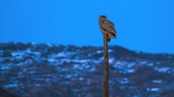 Avrupa’nın En Büyüğü Türkiye’de Görüntülendi