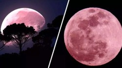 2025 Pembe Ay İçin Geri Sayım: Pembe Ay Nedir, Süper Dolunay Ne Anlama Gelir? 2025 Pembe Dolunay Ne Zaman, Saat Kaçta?