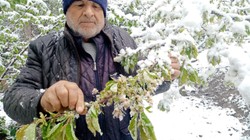 Bir Kentte Kar Alarmı, Onlarca Köy Yolu Ulaşıma kapandı