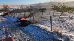 Badem Bahçesinde 'Don' Önlemi