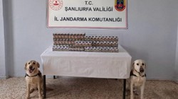 Şanlıurfa'da Kaçak Sigara Operasyonu