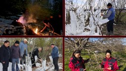 Tarımda Zirai Don Tehlikesi! Çiftçiler Alarmda, Gece Gündüz Nöbet Tutuyorlar