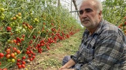 Tarlada 15 TL, Markette 70 TL: Çiftçi Zararına Satışa İsyan Etti