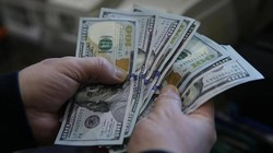 Dolar Güne Nasıl Başladı?