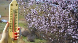 Meteoroloji Bölge Bölge Açıkladı: Sıcaklıklar Artıyor, Bahar Geri Geliyor