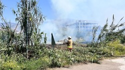 Hatay Arsuz'da Sazlık Yangını