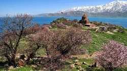 Badem Çiçeği Festivali'ne Büyük İlgi