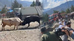 Boğa Güreşi Tarihinde Bir İlk! Kapıyı Kırıp Seyircilerin Arasına Daldılar