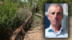 Kestiği Ağacın Altında Kalan Orman İşçisi Öldü