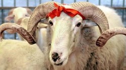 Kurban Bayramı Tatili Bayram Ne Zaman ve Kaç Gün Sürecek?