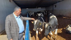 Kurban Bayramı Yaklaşırken 'Ne Vatandaş Mutlu Ne Üretici'