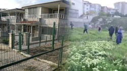 Tüyleriniz Diken Diken Olacak! Cani 'Doktor' Yavru Kedi Ve Köpekleri Acımasızca Katletti