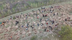 Kayseri'de Yeşil Alan Adımı İçin Fidan Şenliği Yapıldı