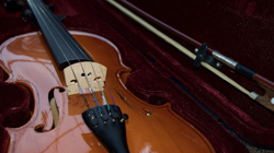 Sakarya'daki Konserlerde 'Keman' Sevinci