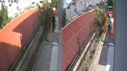 Vahşetin Sonu Gelmiyor! Cani 'Doktor'dan Kan Donduran Hayvan Katliamı