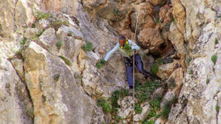Konya Dağlarında Hasat Başladı! Demeti 100 Liradan Satılıyor