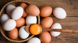 Ne Salmonella Ne de Başka Tehlike: Yumurtanın Tazeliğini Hayatınızı Riske Atmadan Bu Şekilde Anlayabilirsiniz