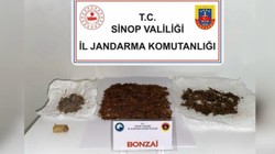 Sinop'ta Uyuşturucu Operasyonu: 1 Gözaltı