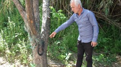 Balık Ağına Dolanan Yılanı İtfaiye Kurtardı