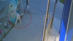 Tekirdağ'da Korkunç Olay! 5'inci Kattan Düştüğü İddia Edilen Bebek Öldü