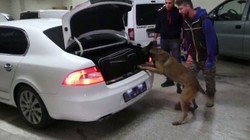 Bolu'da Kaçakçılık Operasyonu! 4 Kişi Yakalandı