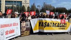 AYM 'Hayvan Katliamına Devam' Dedi... İptal İstemini Reddetti