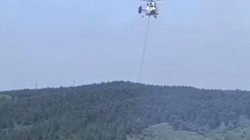 Sultangazi'deki Kent Ormanı'nda Yangın