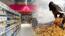 Üretici ve Marketteki Ürünlerin Arasındaki Fiyat Farkı Uçurum Oldu, Konu Meclis Gündemine Getirildi