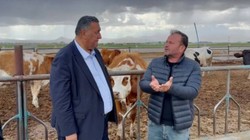 CHP'li Gürer'den Et ve Süt Kurumu'na 'Kâr' Tepkisi