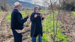 Erzincan'da Zirai Don İncelemesi