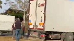 Gazipaşa’da Tır Kazası: Şoför Yaralandı, Palmiye Ağacı Devrildi
